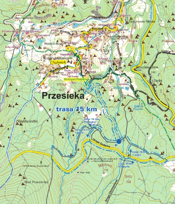 Bieg Icemana 2013 - 15km
