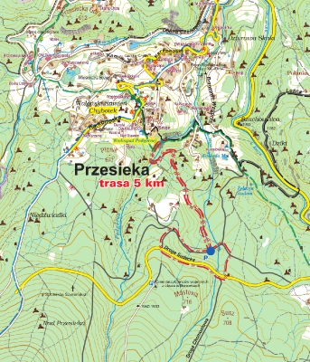 Bieg Icemana 2013 - 5km